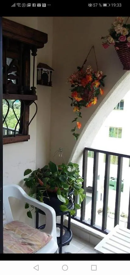 Affittacamere Hellen House Playa Habitacion Familiar De Dos A 4 Pax Santa Marta
